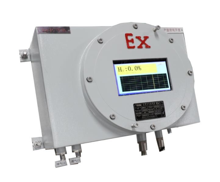 RL-E200EX型防爆氫氣分析儀